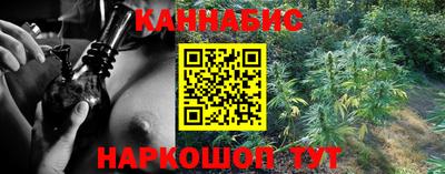 стафф Гай