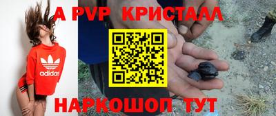 стафф Гай