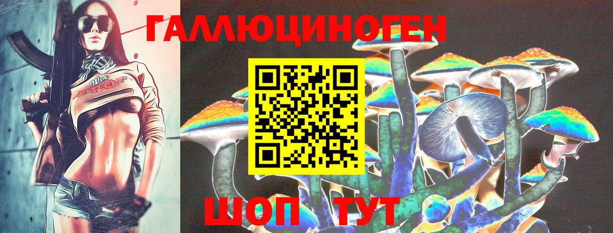 Псилоцибиновые грибы Psilocybine cubensis  Вход с VPN  Псилоцибиновые грибы Psilocybine cubensis  Шелехов 