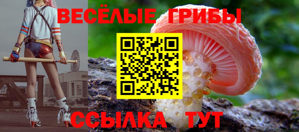 Псилоцибиновые грибы Magic Shrooms Шелехов